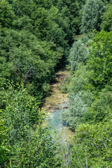Beautiful, turquise Korana river stream, now almost dried during summer season, hidden by the dense, green forest