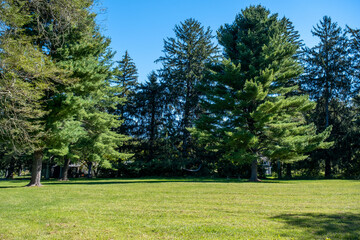 sunny day in the park at the end of summer