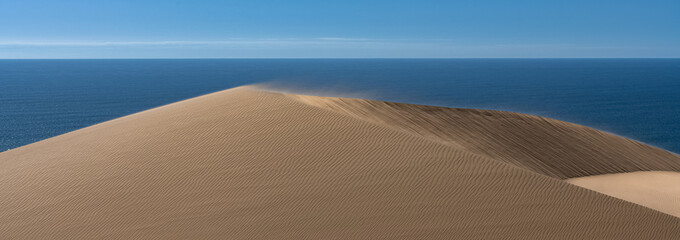 Namibia, the Namib desert, landscape of yellow dunes falling into the sea, the wind blowing on the...