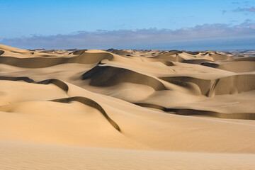 Namibia, the Namib desert, landscape of yellow dunes falling into the sea, the wind blowing on the sand
