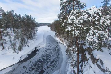 Repovesi National Park, aerial winter view, landscape view of a finnish park, southern Finland, Kouvola and Mantyharju, region of Kymenlaakso, with a group of tourists and wooden infrastructure
