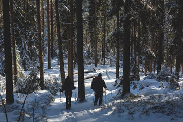 Repovesi National Park, aerial winter view, landscape view of a finnish park, southern Finland, Kouvola and Mantyharju, region of Kymenlaakso, with a group of tourists and wooden infrastructure