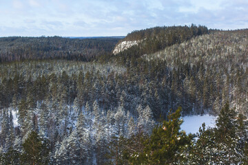 Repovesi National Park, aerial winter view, landscape view of a finnish park, southern Finland, Kouvola and Mantyharju, region of Kymenlaakso, with a group of tourists and wooden infrastructure