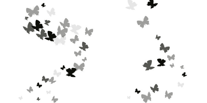 Fairy black butterflies isolated vector wallpaper. Summer colorful moths. Fancy butterflies isolated girly background. Tender wings insects graphic design. Tropical creatures.