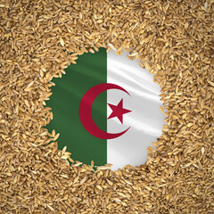 Flag of algeria with grains of wheat. Natural whole wheat concept with flag of algeria