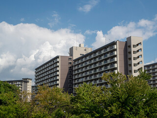 Fototapeta premium japanese apartment
