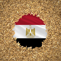 Flag of egypt with grains of wheat. Natural whole wheat concept with flag of egypt