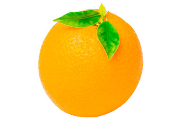 Orange fruit on white background