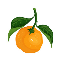 Ripe mandarin fruit.Cartoon vector graphic.