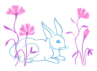 Illustration of hiding rabbit behind flowers hand drawn with colored pencils isolated on white background