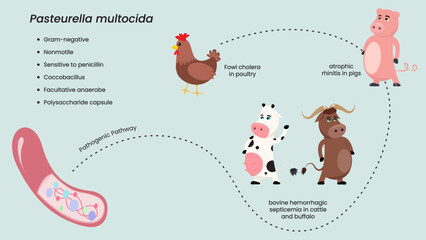 Pasteurella Multocida Bacterial Pathogenic Pathway