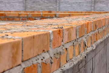 initial rows of brickwork. the initial stage of building a house. masonry of orange ceramic bricks.