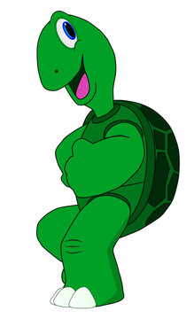 Cartoon of a funny and cool green turtle