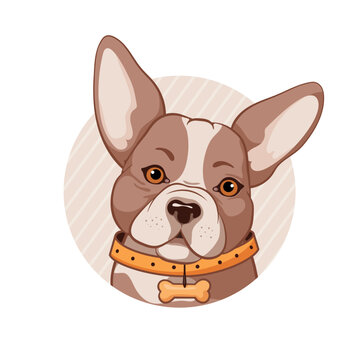 French bulldog cute sitting puppy with funny head tilt vector cartoon illustration isolated on white. Dogs, pets, animal lovers theme design element.