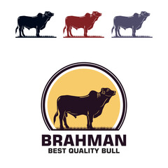 BRAHMAN BULL LOGO, silhoette of big cattle from best farm, vector illustrations