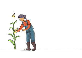 Continuous one line drawing young female farmer picking the corn on the tree. Professional farmer. Farming challenge minimalist concept. Single line draw design vector illustration.
