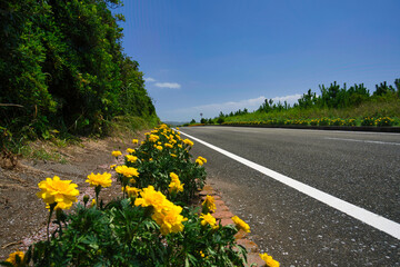 房総フラワーライン