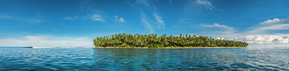 Fototapeta na wymiar Tropical island surrounded by clear blue water