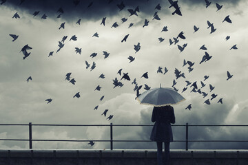 Woman with umbrella standing on the rain during autumn storm and watching flock of birds fly