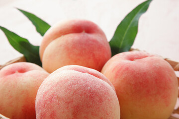 桃　　スタジオ撮影　　イメージ