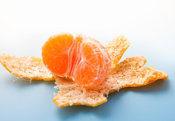 ハウスみかん　スタジオ撮影