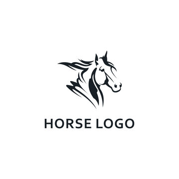 Luxury Horse Logo Design Inspiration