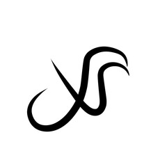 Calligraphic swirl flourish. Modern swirling flourishes, romantic card decorative swirl and wedding card decor curls swirles dividers vector set. Black curly thin lines, filigree ornaments collection