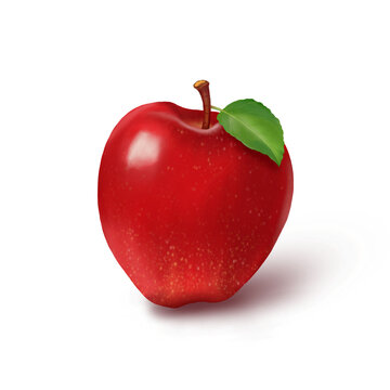 Red Apple Fruit  Painting