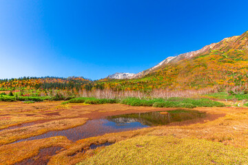 山と青空と紅葉と