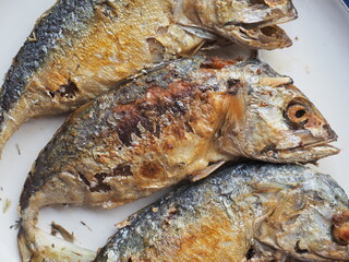 top view fried mackerel fish