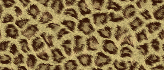 leopard pattern, high resolution illustration background