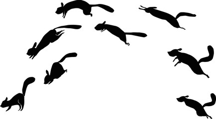 Image sequence of jumping rat for animation.