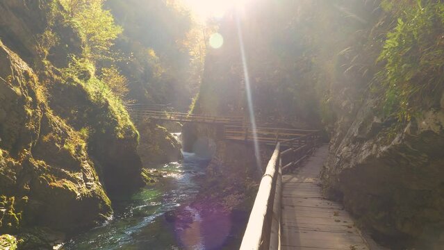 Scenic overview of beautiful Vintgar canyon with Radovna river and wooden path. Gorgeous color palette of beech trees and foliage above green river and a nice tourist trail embedded in a rocky bank.