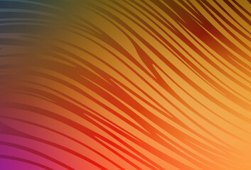 Light Orange vector layout with curved lines.