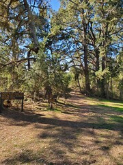 Fototapeta premium path in the park