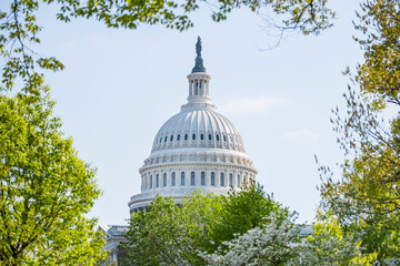 Dome of the US Capitol building as seen through the foliage