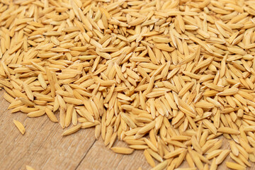 Paddy rice seeds. Paddy background.