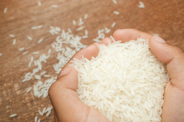 Kid hands holding jasmine rice. Jasmine rice holding in hands on dark wooden table with paddy rice.