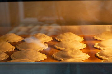 Curry puffs on a tray in an electric oven.
