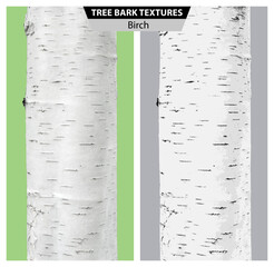 The texture of birch bark. Vector isolated realistic black and white and multicolor illustration of birch trunks.