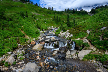 Edith Creek flowing through a valley on the side of Mt Rainier, Paradise area at Mt. Rainier national park
