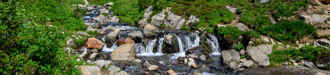 Edith Creek flowing through a valley on the side of Mt Rainier, Paradise area at Mt. Rainier national park
