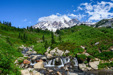 Edith Creek flowing through a valley on the side of Mt Rainier, Paradise area at Mt. Rainier...
