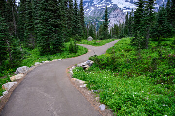 Nisqually Vista Trail through an alpine meadow and woods, Paradise area at Mt. Rainier national...