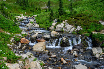 Edith Creek flowing through a valley on the side of Mt Rainier, Paradise area at Mt. Rainier national park

