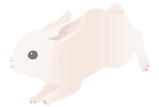 跳ねる Images Browse 8 0 Stock Photos Vectors And Video Adobe Stock