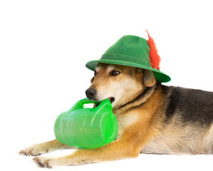 portrait of a mongrel dog with a bavarian hat and a mug of beer