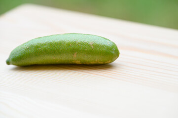 フィンガーライム