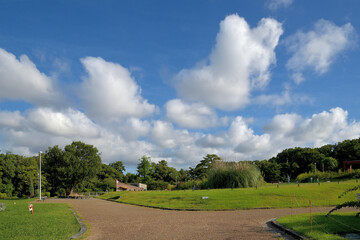 公園の上空に綿菓子のような白い雲が沢山浮かんでいる風景