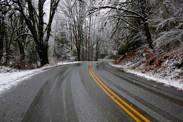 Fototapeta premium The empty road by snow and trees2